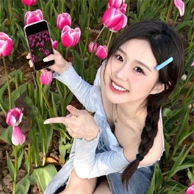 忍冬玫瑰